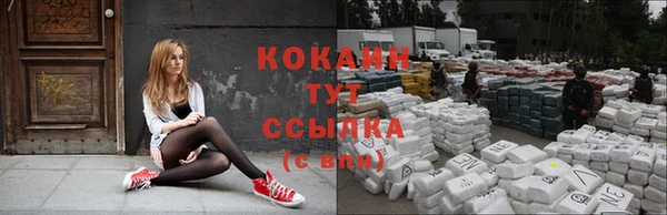 молекула духа Володарск