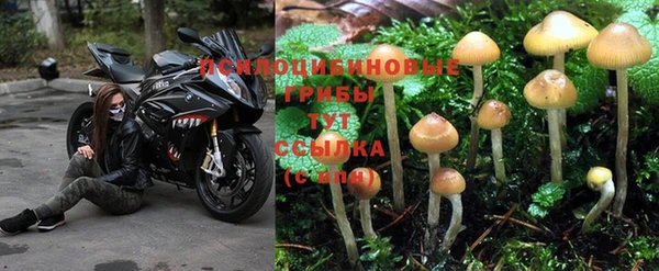 гидропоника Волоколамск